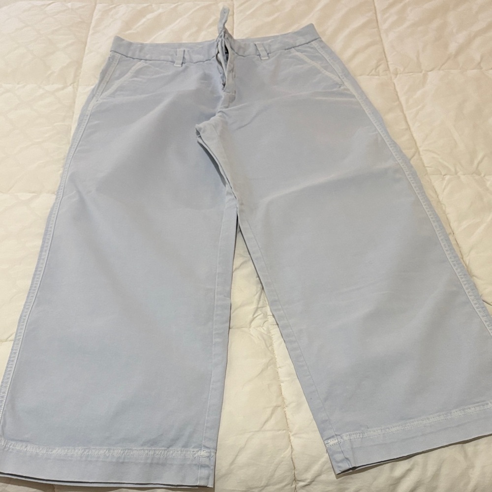 GAP Light Blue Cropped Pants